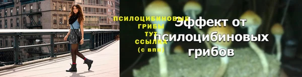 МДПВ Покровск