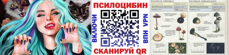 Псилоцибиновые грибы Psilocybine cubensis  где найти наркотики  Бабаево 